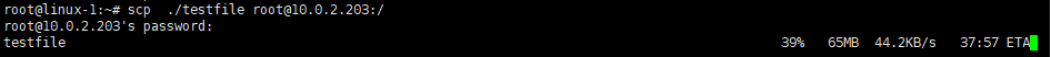 image-test1_scp2
