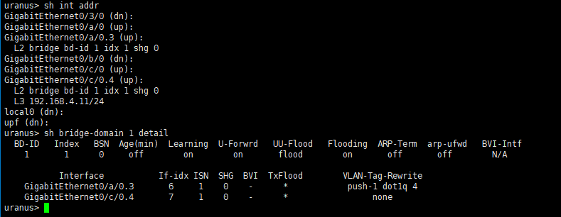 vpp_to_znet_host2